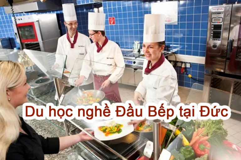 du hoc nghe dau bep tai duc