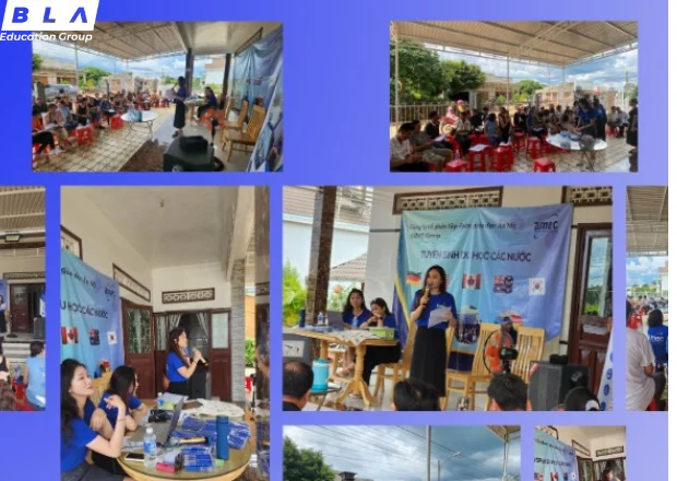 ngoại ngữ AMEC