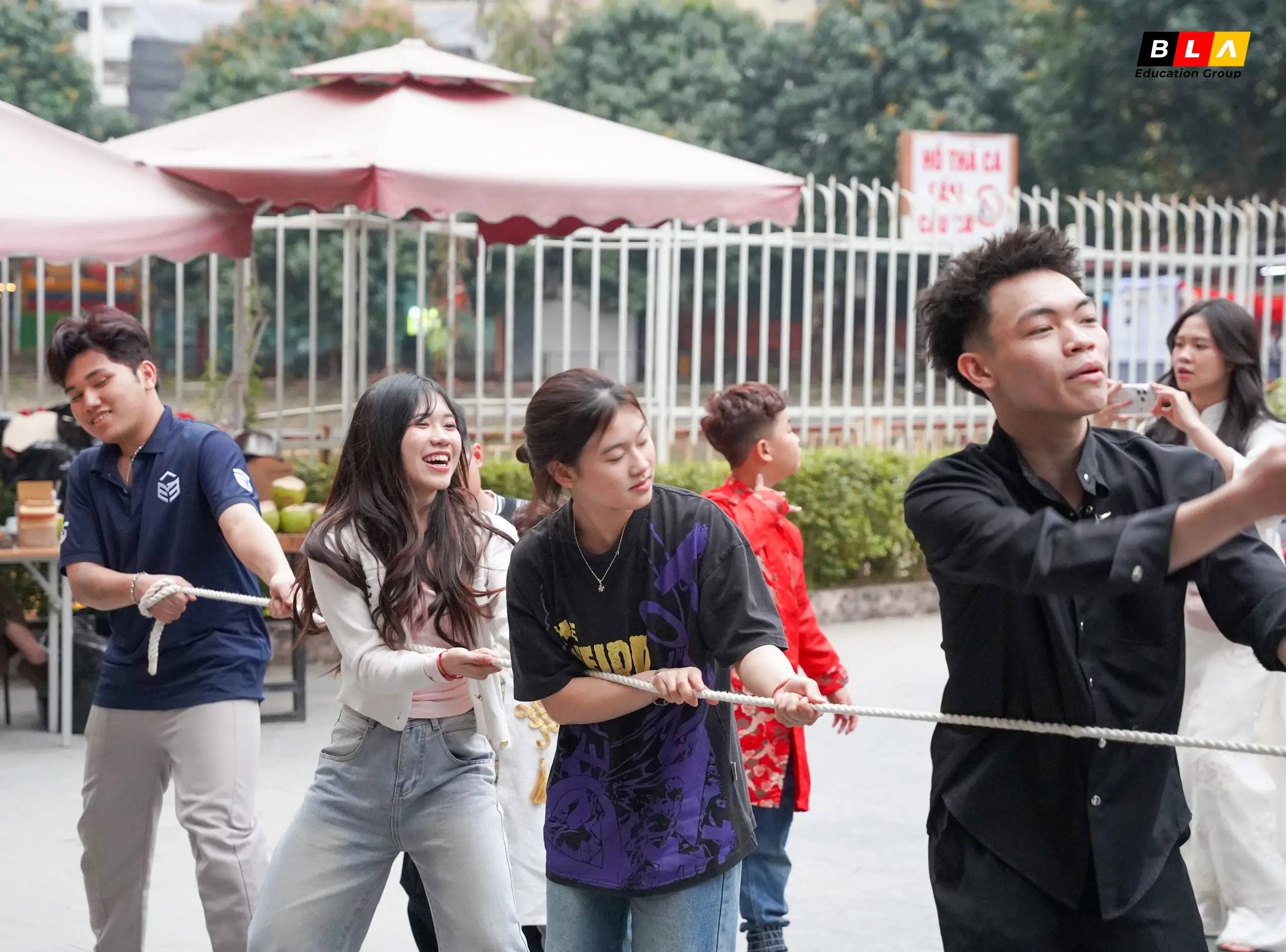 2026 02 tết ý nghĩa 81 2026 02 tết ý nghĩa 81